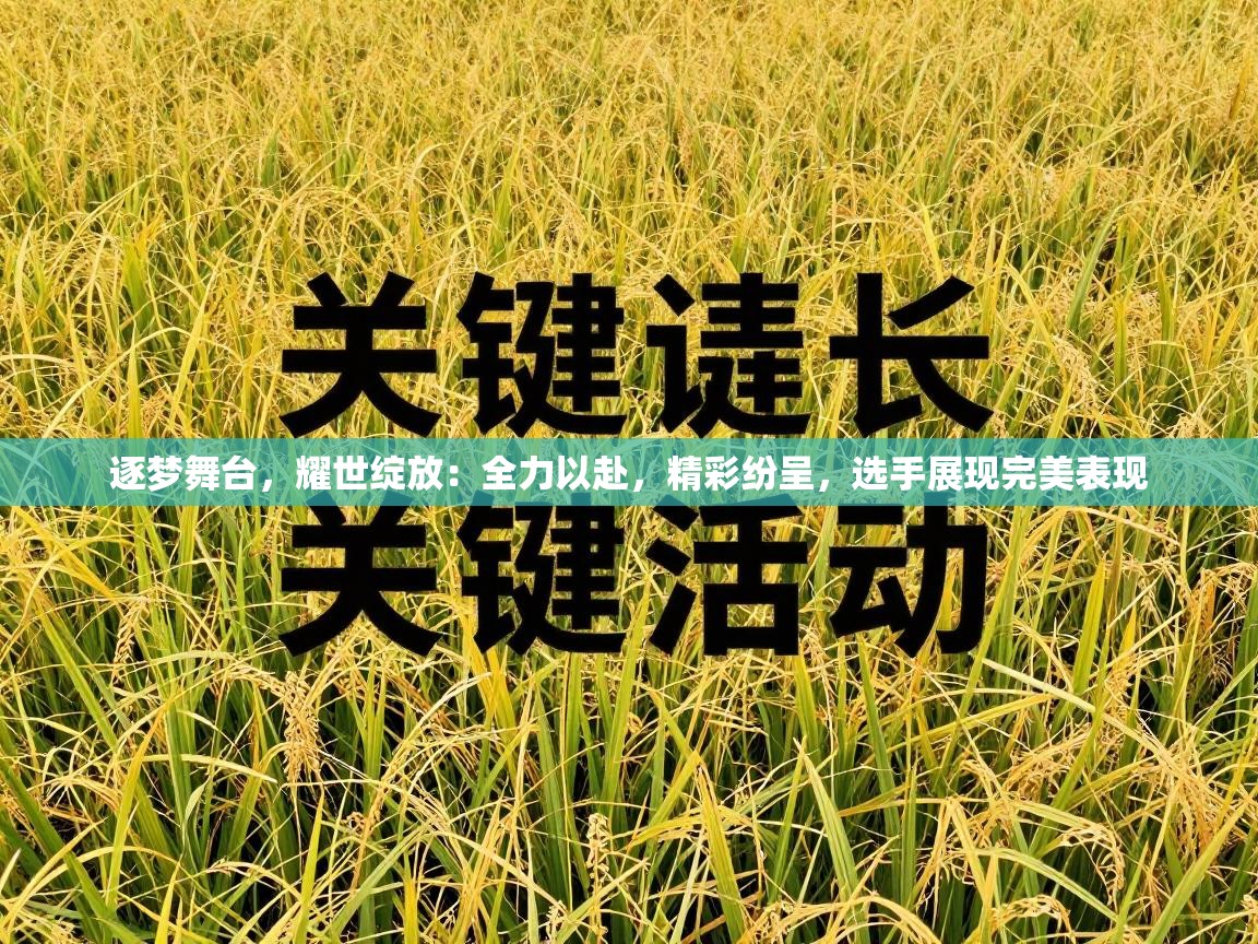 逐梦舞台，耀世绽放：全力以赴，精彩纷呈，选手展现完美表现