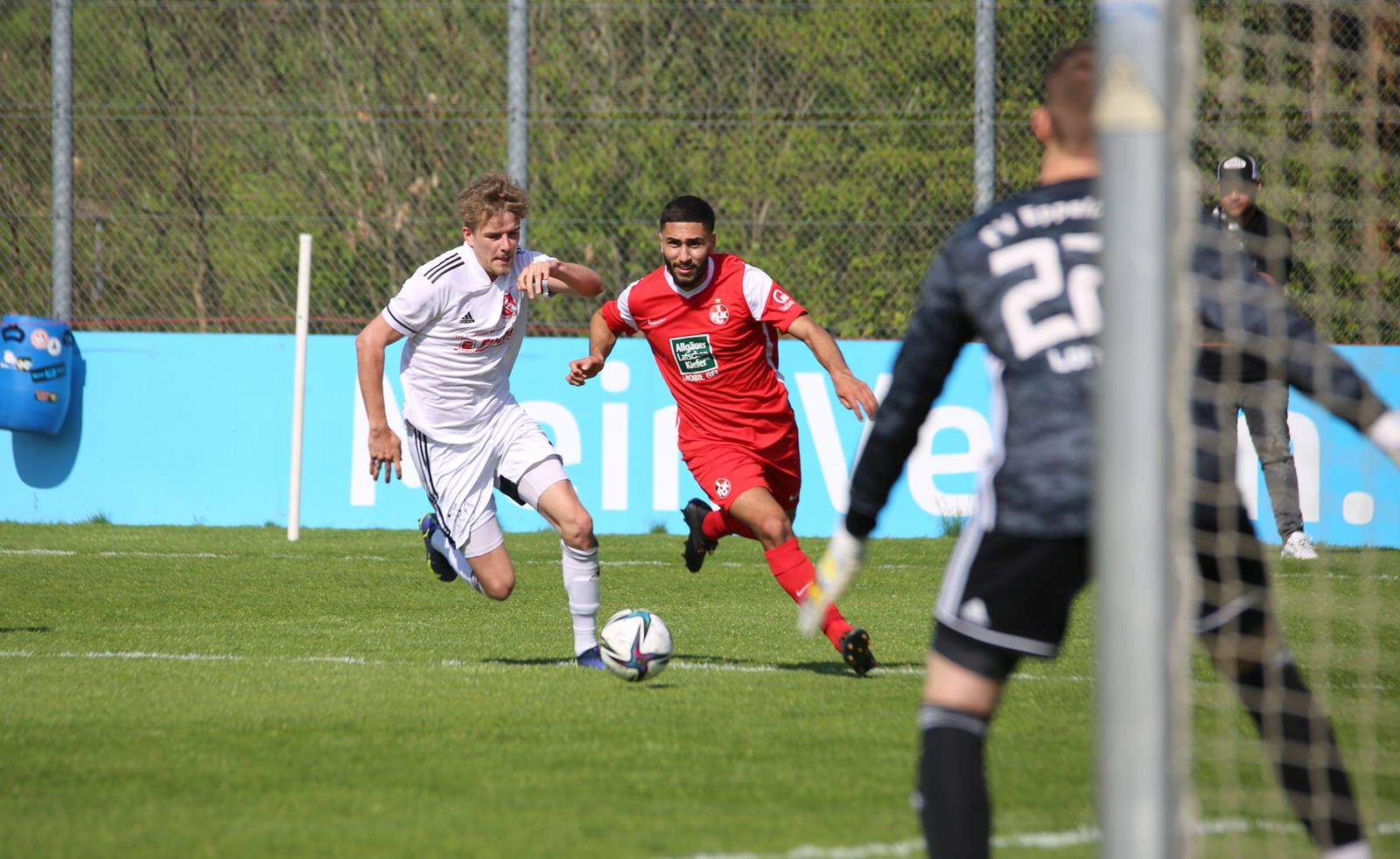 包含德累斯顿主场平局，难得一分的词条